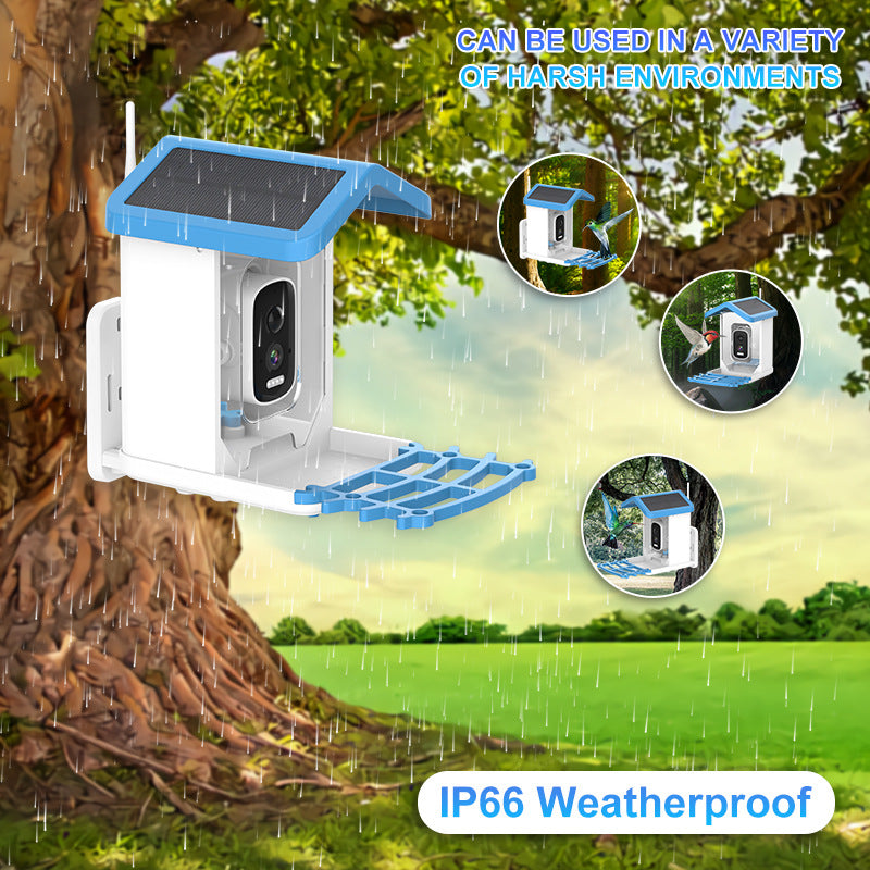 Intelligent Bird Feeding Recognition Solar HD Feeder